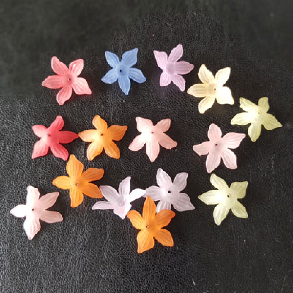 15 Assorterte Forcicia blomster