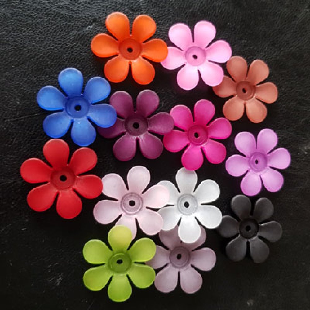 15 Assorterte tusenfrydblomster