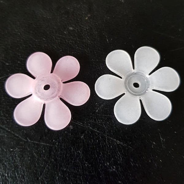 15 Assorterte tusenfrydblomster