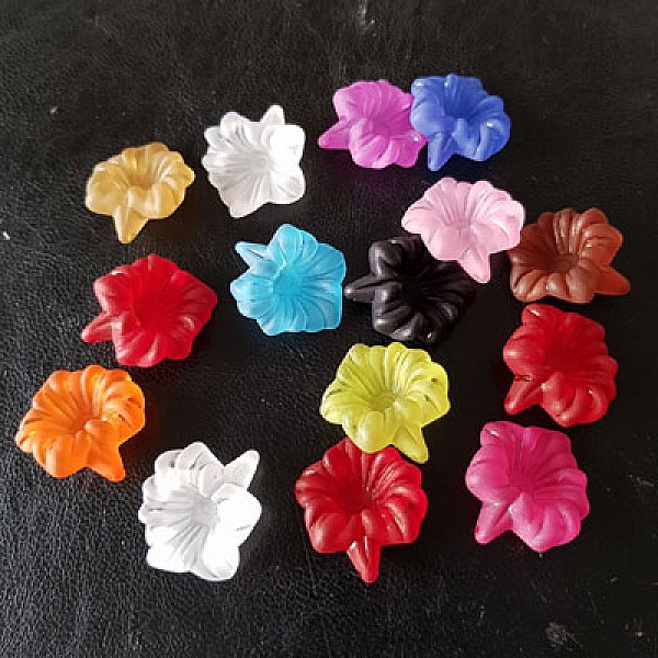 15 Assorterte orkid&eacute;blomster