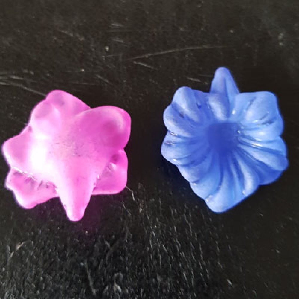 15 Assorterte orkidéblomster