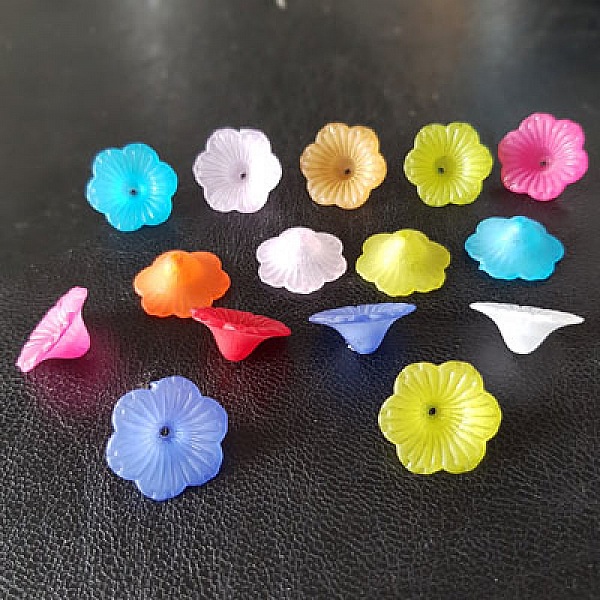 15 Assorterte tusenfrydblomster