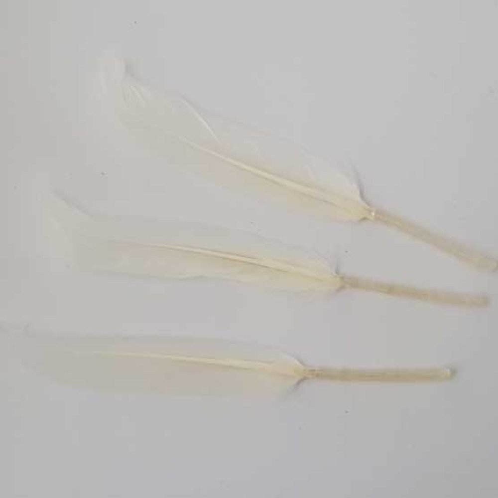 3 Plumes 15 cm N°01 Blanc