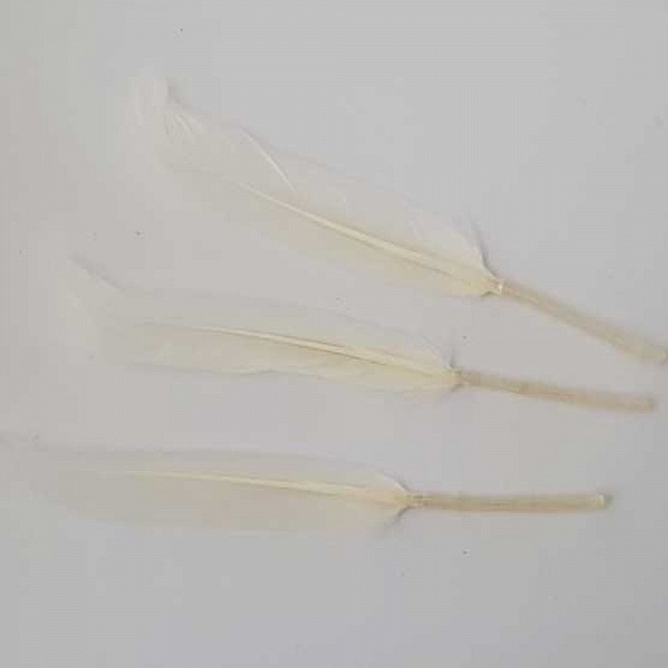 3 Plumes 15 cm N&deg;01 Blanc