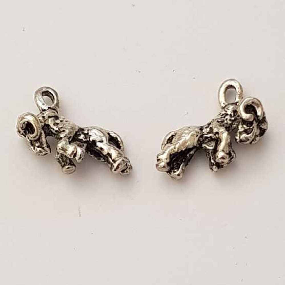 Stjernetegn charm Væren Sølv Metall N°01