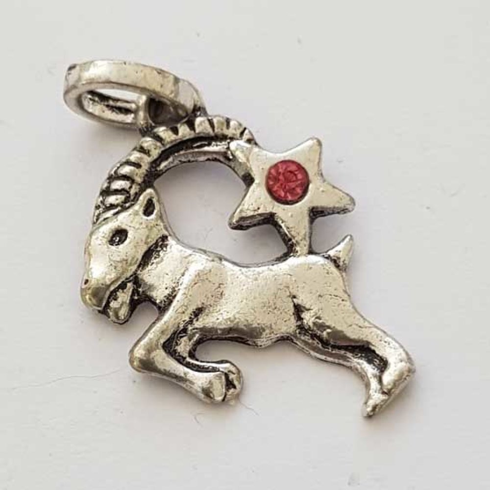 Stjernetegn charm Steinbukken sølvbelagt N°03 med rhinestones