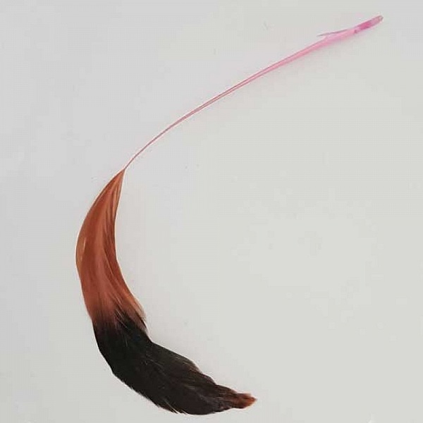Plume 16 cm N&deg;01 Rose