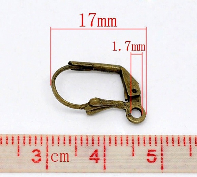 Support Boucle d'oreille Dormeuse N&deg;09 x 25 Paires