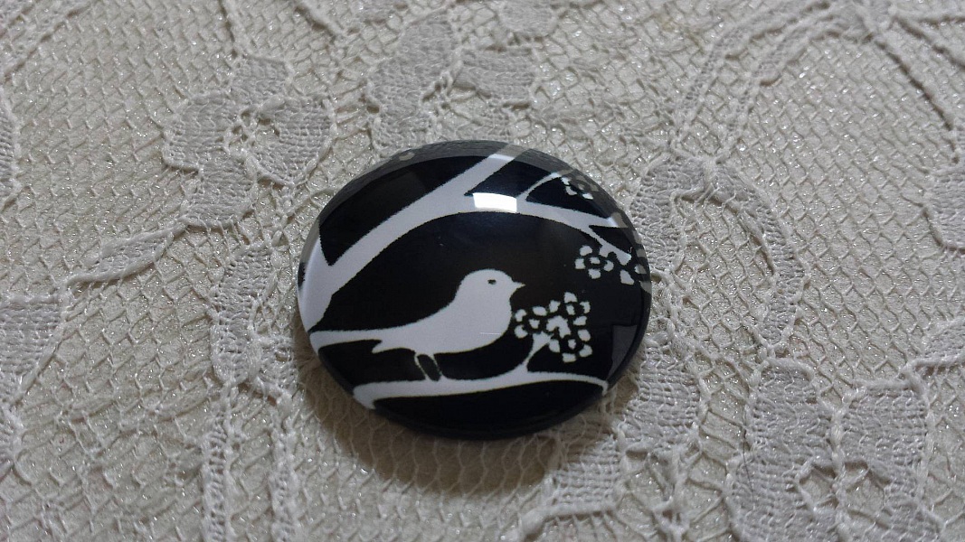 cabochon rundt glass 10mm fugler 021 