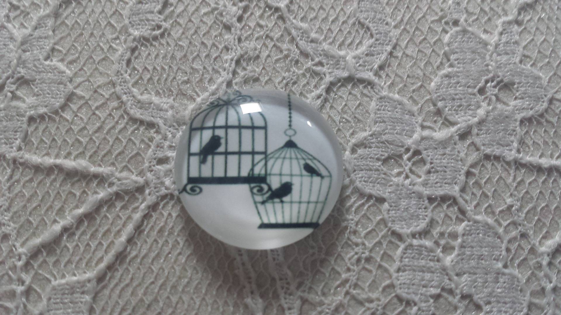 rund glass cabochon 10mm fugler 003 
