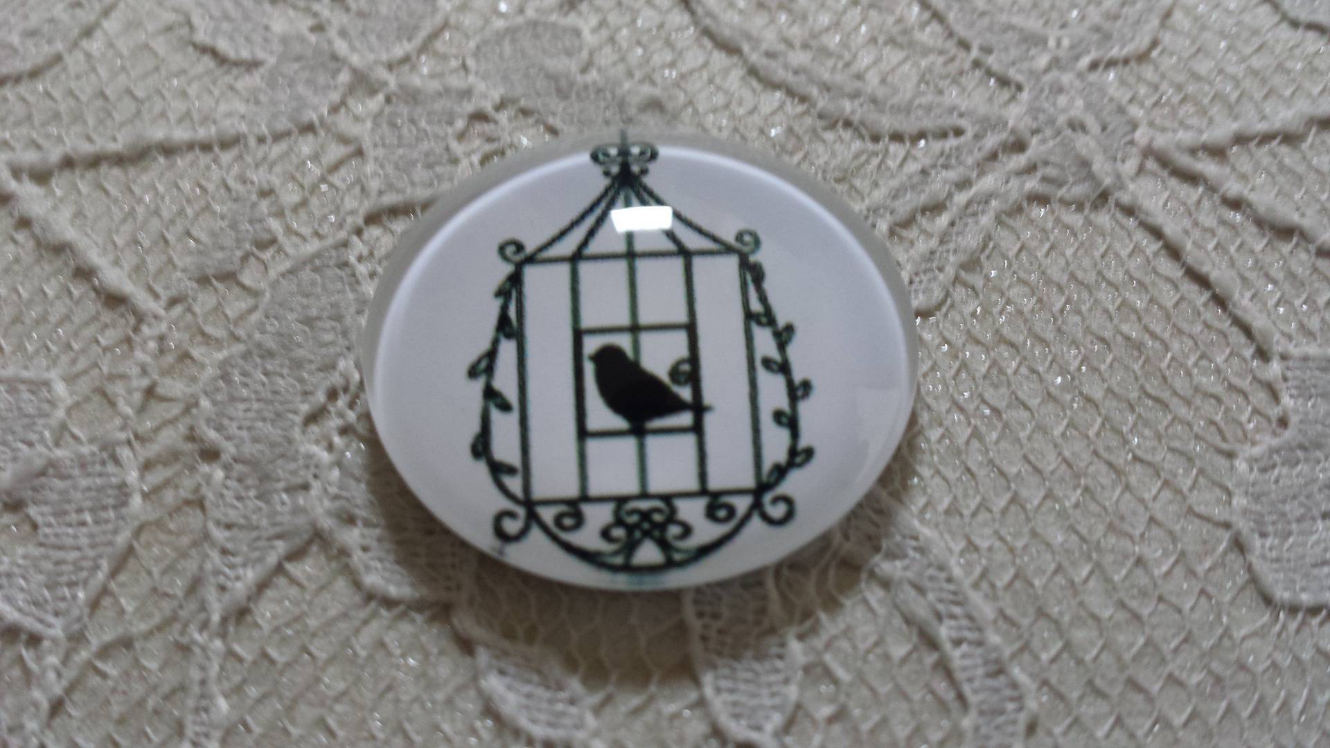 rund glass cabochon 20mm fugler 023 