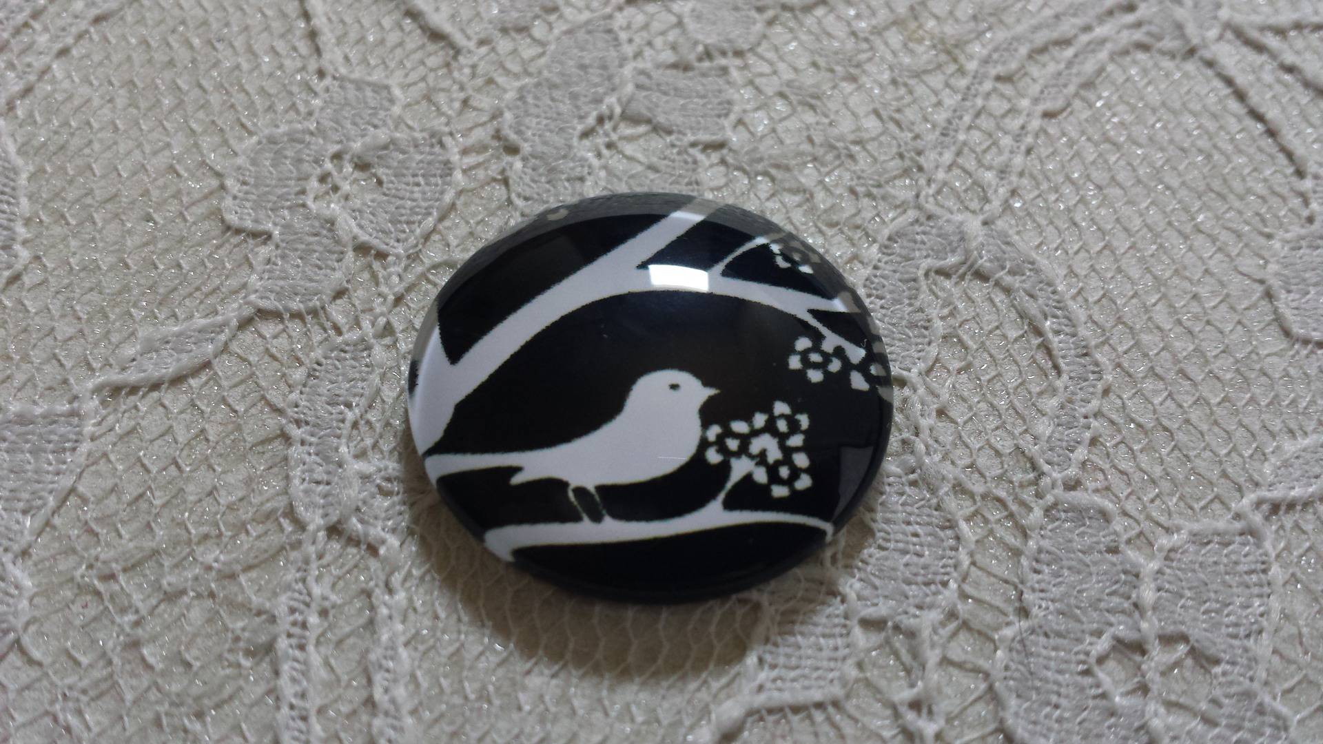 cabochon rundt glass 25mm fugler 021 