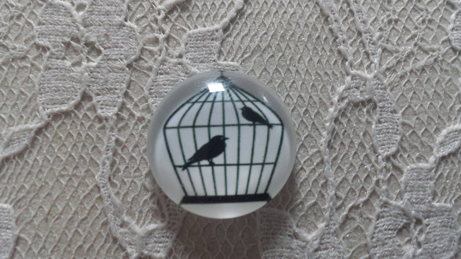 cabochon rundt glass 25mm fugler 009 