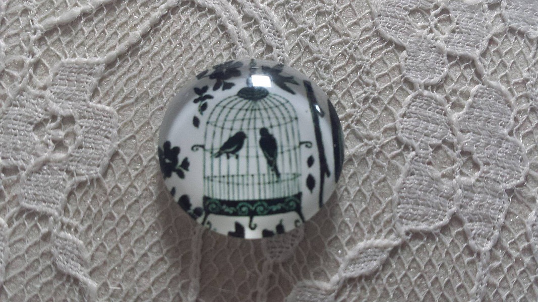 cabochon rundt glass 25mm fugler 006 