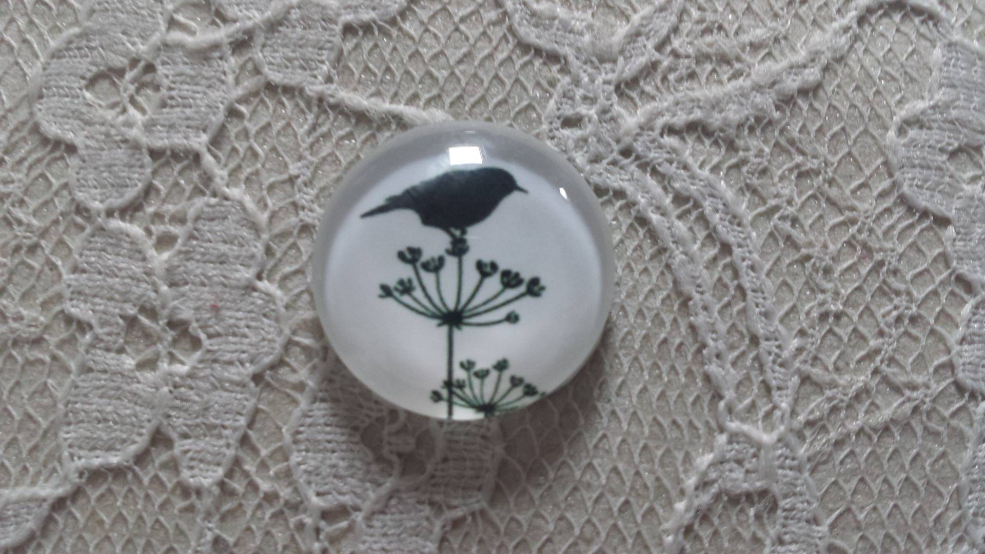 cabochon rund glass 20mm fugler 019 