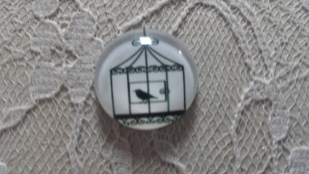 rund glass cabochon 20mm fugler 010 