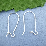 Dormeuse øredobbeholder 24mm N°02 x 1 par