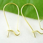 Dormeuse øredobbeholder 24mm N°04 x 1 par