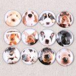 Lot 24 runde glass cabochons 25mm blandet hund glass cabochon 