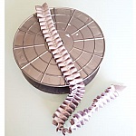 Fancy bånd nr. 059 per meter