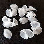 20 Blomster Arums Hvit Liten