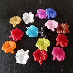 15 Assorterte orkidéblomster