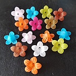 15 Assorterte stemorsblomster