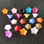 20 Forglemmegei blomster assortert