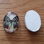 Cabochon Oval 13 x 18 mm Sommerfugl N°03
