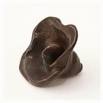 Fleur résine 1 trou 17 x 29 mm Brun 02