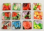 10 glass cabochons firkantet 20 mm assortert Blomster S-22-20-17