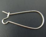 Øredobbholder Sleeper 25mm N°06 x 20 Par
