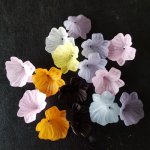 15 Blomster N°01 assortert