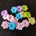 15 Blomster N°02 assortert