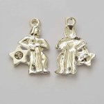 Vannmannen Stjernetegn Charm Sølv Metall N°04 med rhinestones