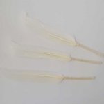 1 Plume 15 cm N°01 Blanc
