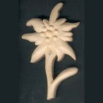 Edelweiss skåret for hånd vokset natur