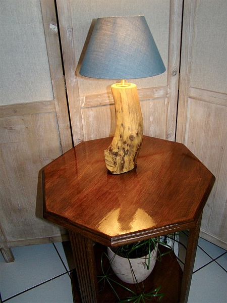 Skogslampe, naturen og dens underverker 