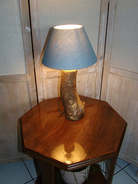 Skogslampe, naturen og dens underverker 