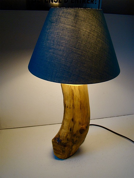 Skogslampe, naturen og dens underverker 