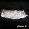 coussin mariage porte alliances thème papillon blanc et argent