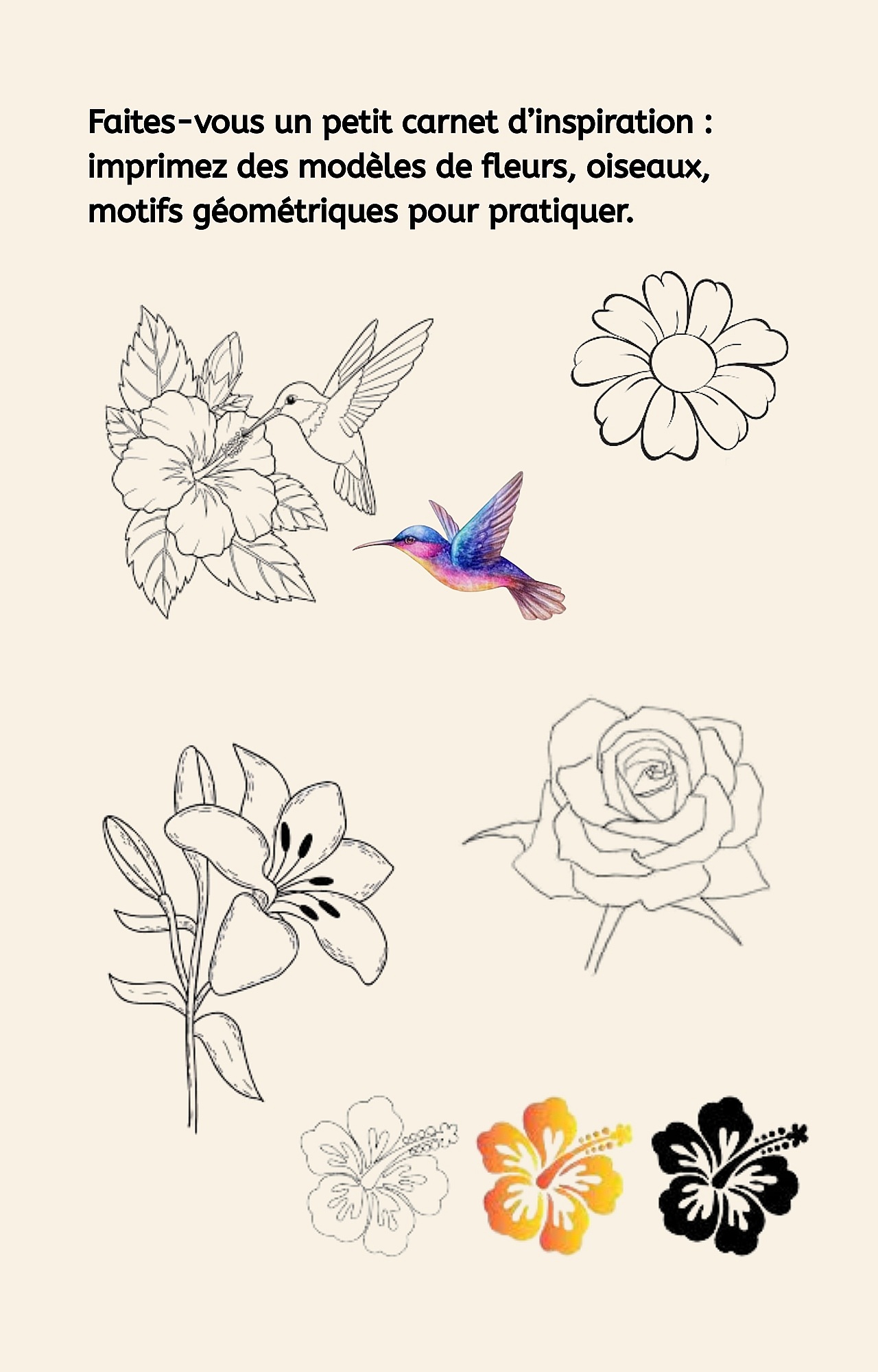 Guide complet et inspirant pour d&eacute;butants et passionn&eacute;s. Peindre sur &eacute;ventails