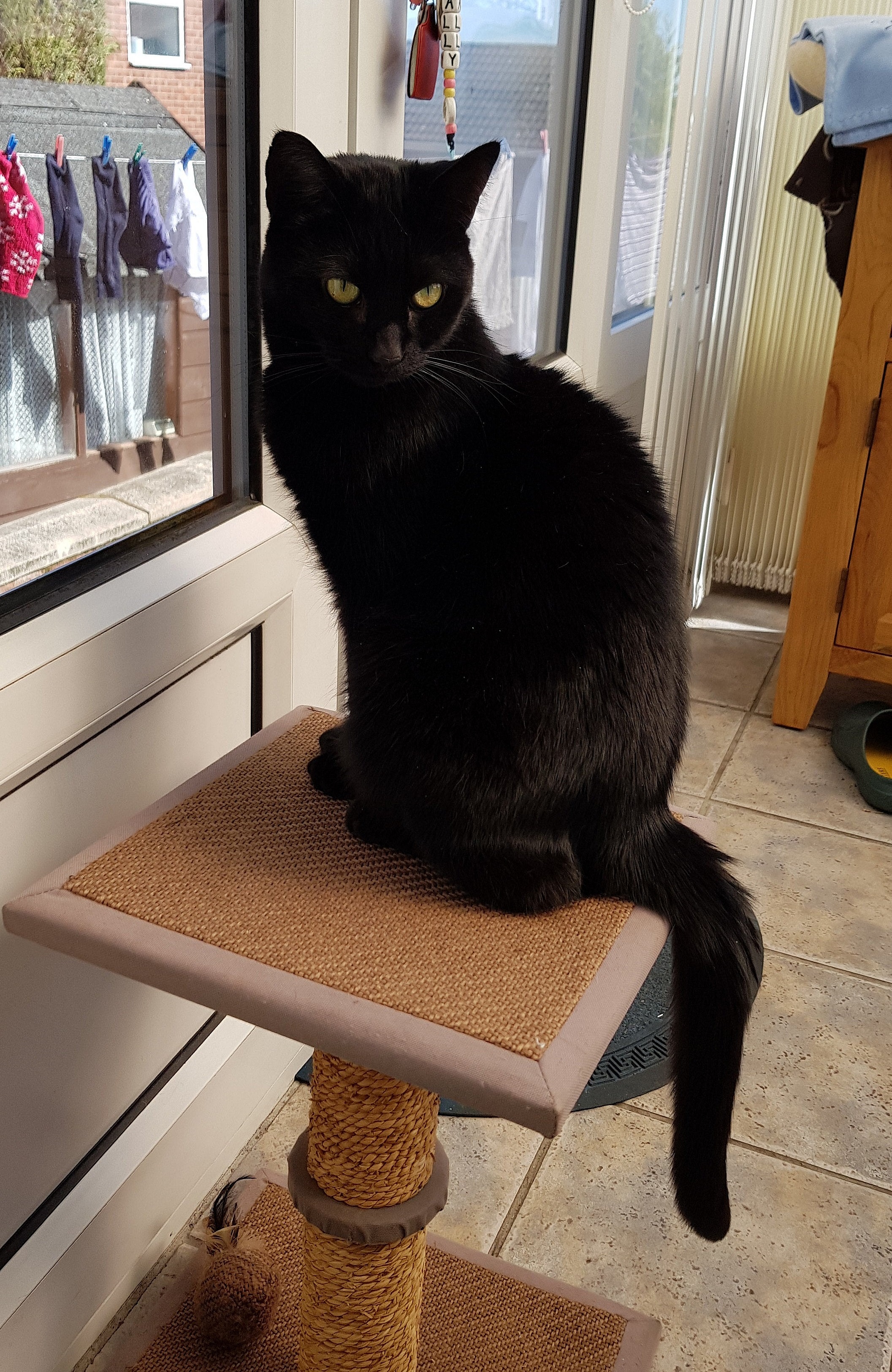 Une photo, votre &eacute;ventail, celui l&agrave; est en soie