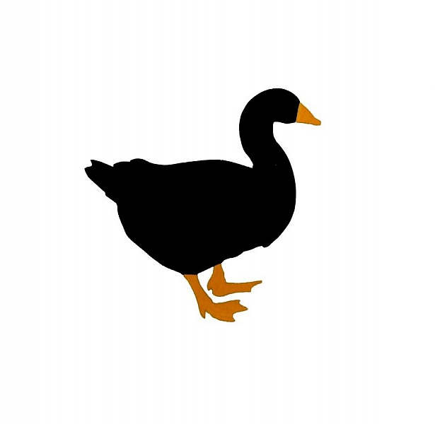 Trevegg eller d&oslash;rskilt modell: g&aring;s 27x28 cm